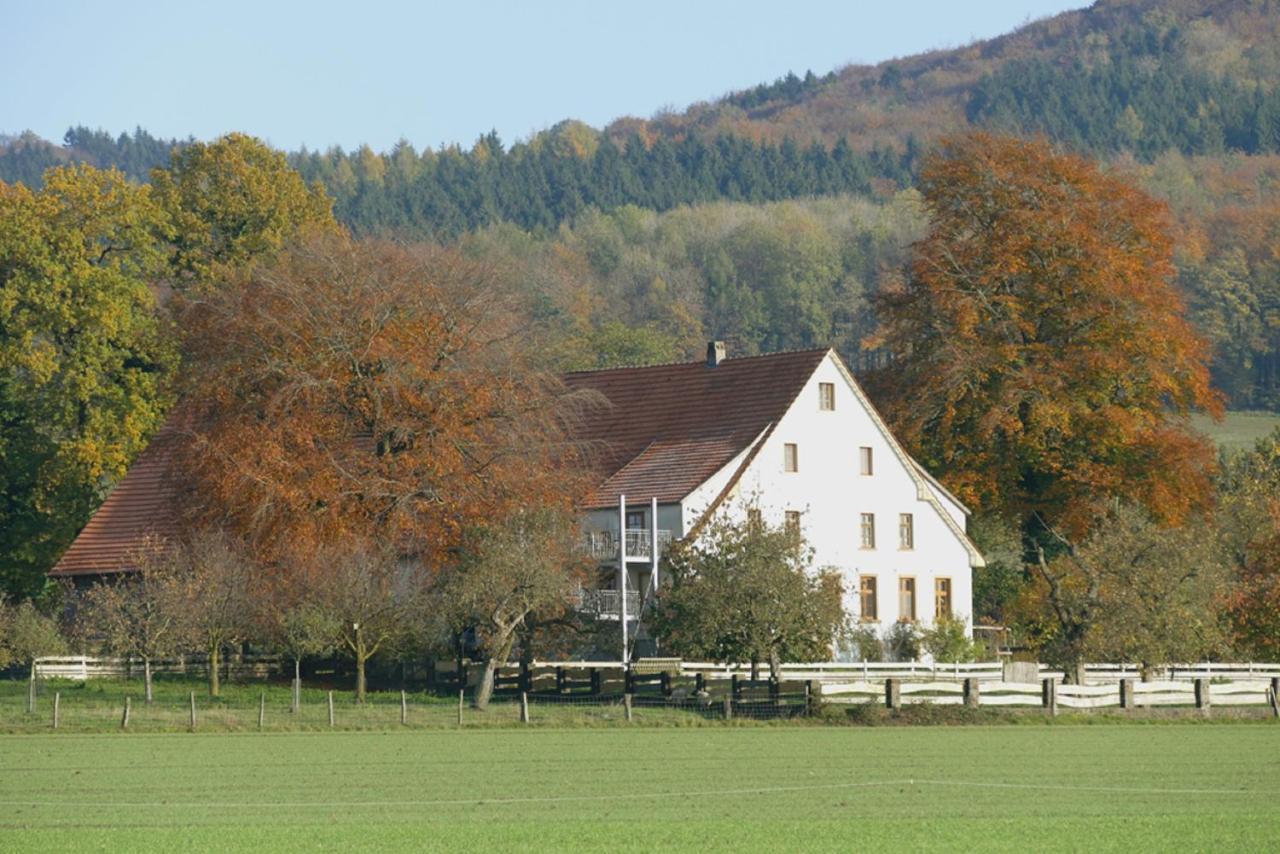 Ferienwohnung An Der Obstwiese Borgholzhausen 外观 照片