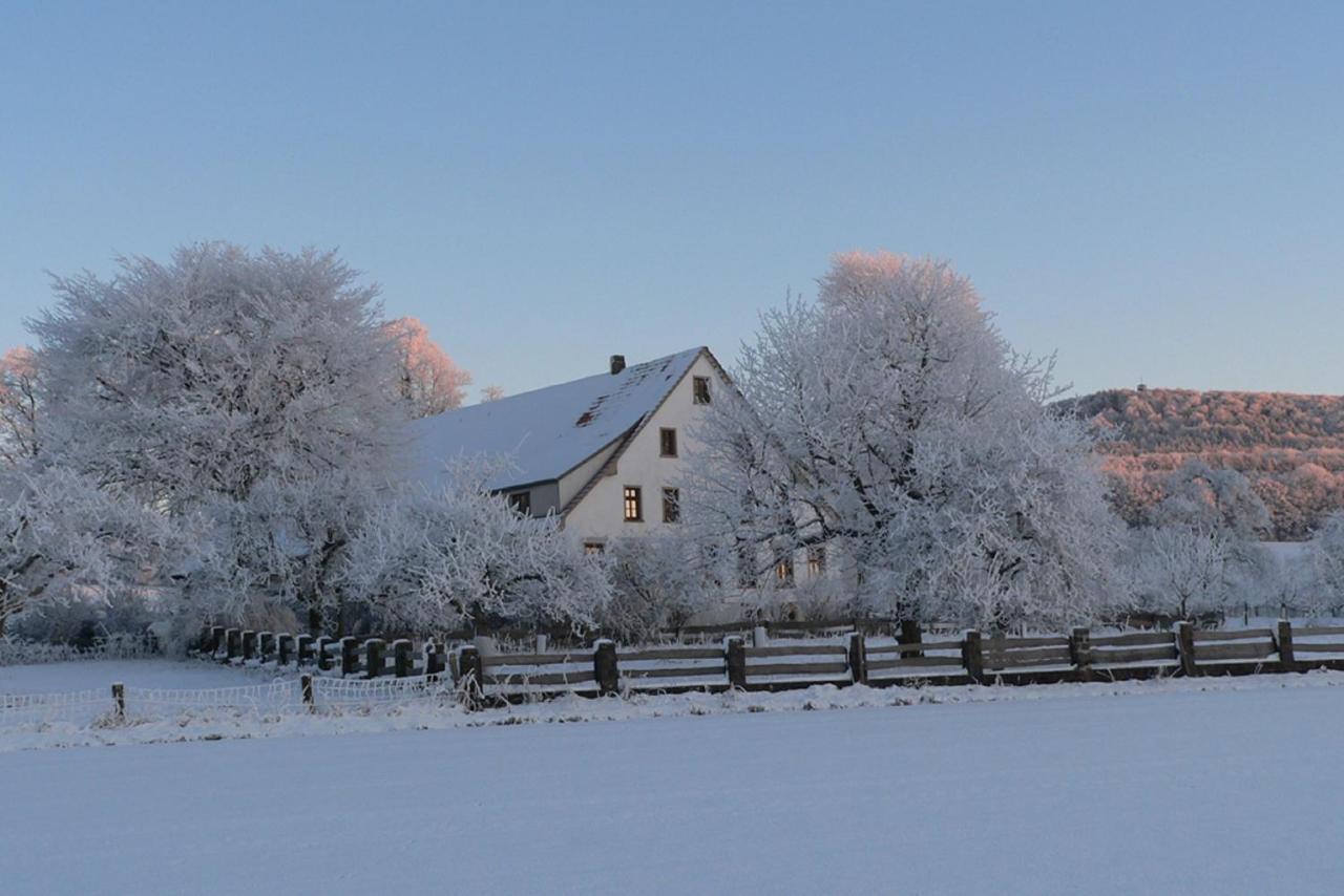 Ferienwohnung An Der Obstwiese Borgholzhausen 外观 照片